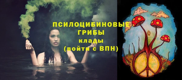 СК Елизово