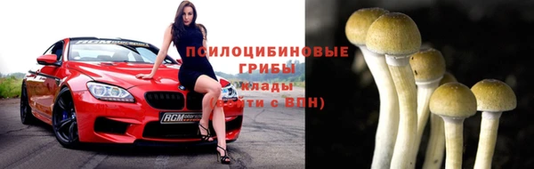 тгк Елабуга