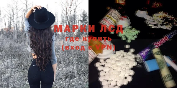 СК Елизово