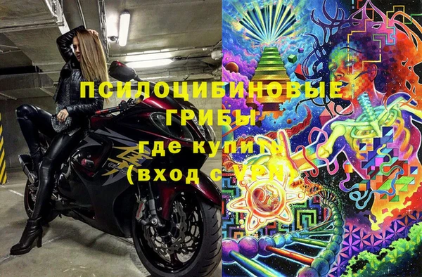 СК Елизово