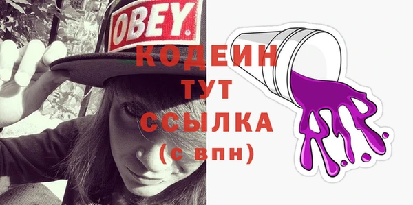 СК Елизово